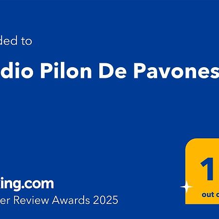 Studio Pilon De Pavones Pavones  Kültér fotó