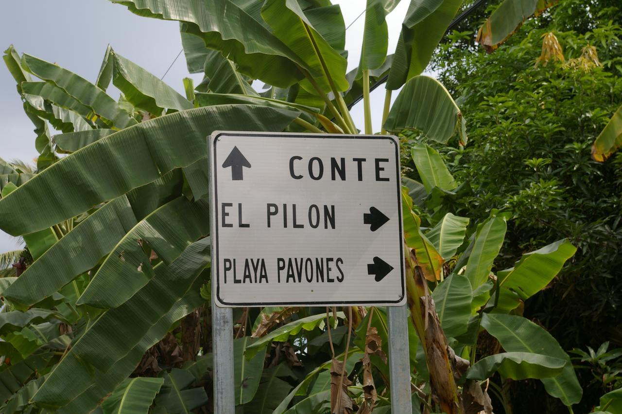 Studio Pilon De Pavones Pavones  Kültér fotó